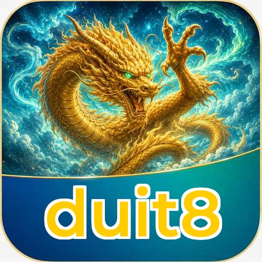Logo duit8