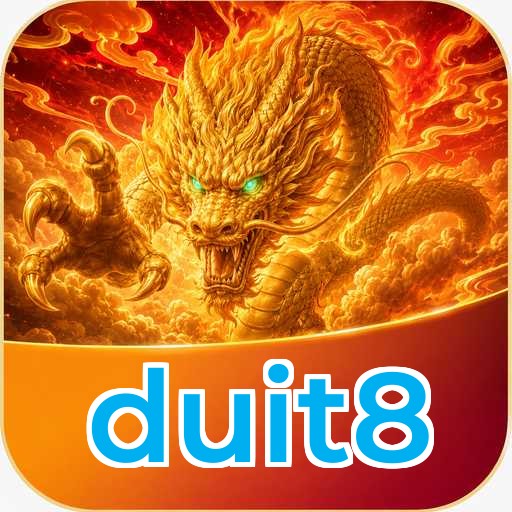 Logo duit8
