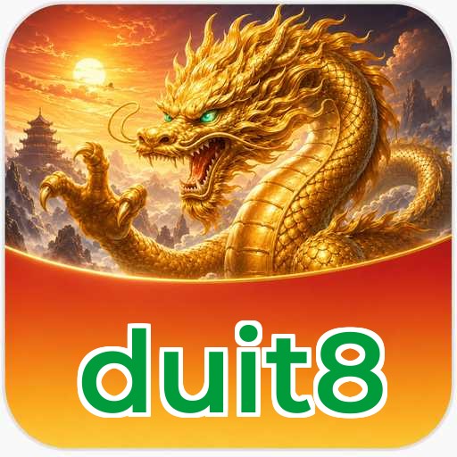 Logo duit8